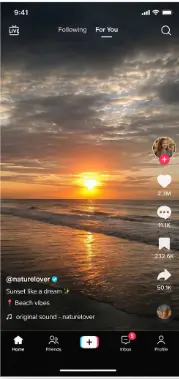 tiktok pro